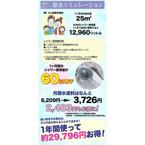 ナノバブル シャワーヘッド マイクロバブル 節水 60% シャワー 5段階 マッサージ ミスト 美容 洗顔 頭皮ケア 毛穴汚れ 保湿 保温 工具不要 取り付け簡単