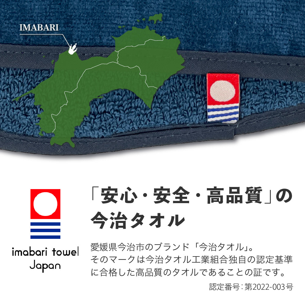 サウナマット プテラノドン サウナグッズ 今治タオル 今治 マット サウナサウルス 折りたたみ コンパクト メンズ レディース タオル 綿100% 洗える 速乾 日本製 コットン