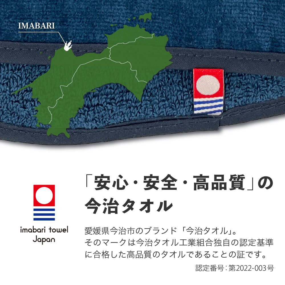 サウナマット 選べる サウナグッズ 今治タオル 今治 マット サウナサウルス 恐竜 折りたたみ コンパクト メンズ レディース タオル 綿100% 洗える 速乾 日本製 コットン ティラノサウルス トリケラトプス プテラノドン