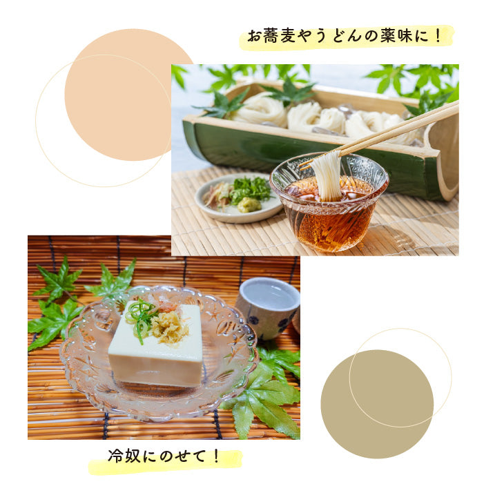 ガジェコン しょうが・にんにく薬味おろし器 キッチンスライサー おろし金