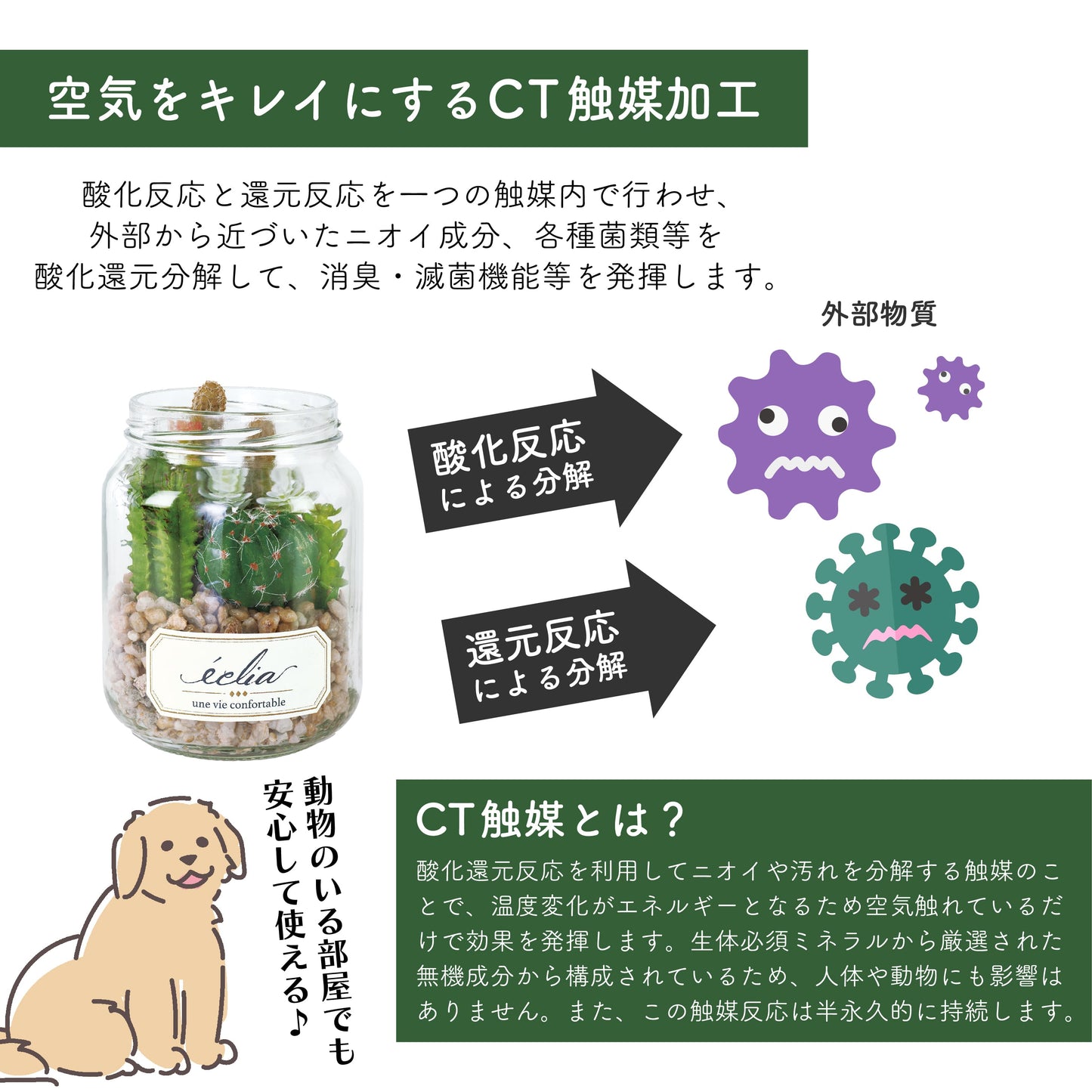 アーティフィシャルグリーン エクリア KISHIMA 消臭 抗菌 CT触媒 フェイク 人工観葉植物 ジャータイプ 多肉 サボテン 造花