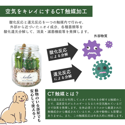 アーティフィシャルグリーン エクリア KISHIMA 消臭 抗菌 CT触媒 フェイク 人工観葉植物 ジャータイプ 多肉 サボテン 造花