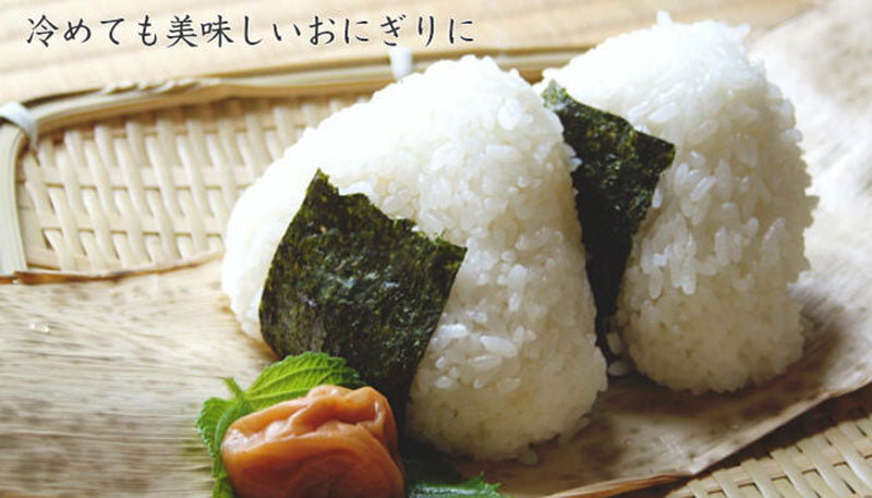 おひつ白木 ３合 ２１㎝ 木製 寿司 桶 すし ちらし寿司 手巻き寿司 ご飯 白米 ひな祭り 節分 天然木
