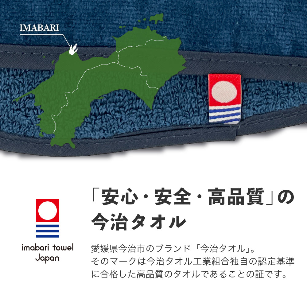 サウナマット 選べる サウナグッズ 今治タオル 今治 マット サウナサウルス 恐竜 折りたたみ コンパクト メンズ レディース タオル 綿100％ 洗える 速乾 日本製 コットン ティラノサウルス トリケラトプス プテラノドン モササウルス