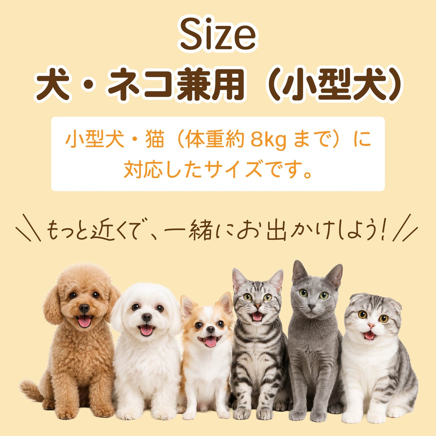 ペットキャリー リュック 犬 猫 拡張 キャリーバッグ 防災 通院 旅行 小型犬 メッシュ 折りたたみ 8kg対応 キャプテンスタッグ UW-5047