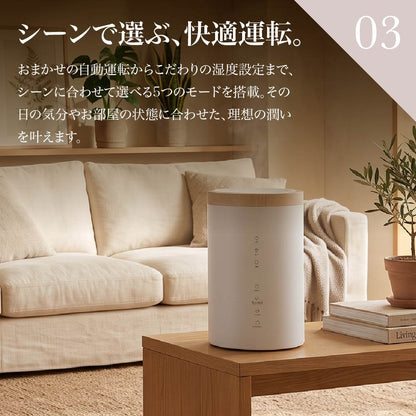 加湿器 スチーム式 4L 大容量 多機能 スチームポット 19畳 750mL/h 湿度設定 おやすみモード eco パワフル クエン酸洗浄 スリーアップ ST-T2674