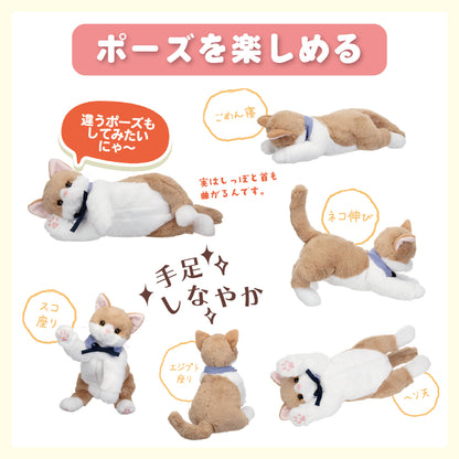 イワヤ なごみケーションにゃんこ ぬくもり ねこ ぬいぐるみ 電動ペット 介護 高齢者 脳トレ ペット