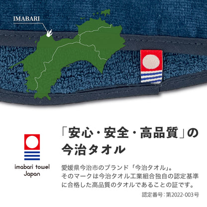 サウナマット 選べる サウナグッズ 今治タオル 今治 マット サウナサウルス 恐竜 折りたたみ コンパクト メンズ レディース タオル 綿100％ 洗える 速乾 日本製 コットン ティラノサウルス トリケラトプス プテラノドン